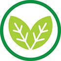 VEGAN